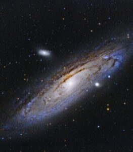 Read more about the article Experiencing Tokyo Like a Local